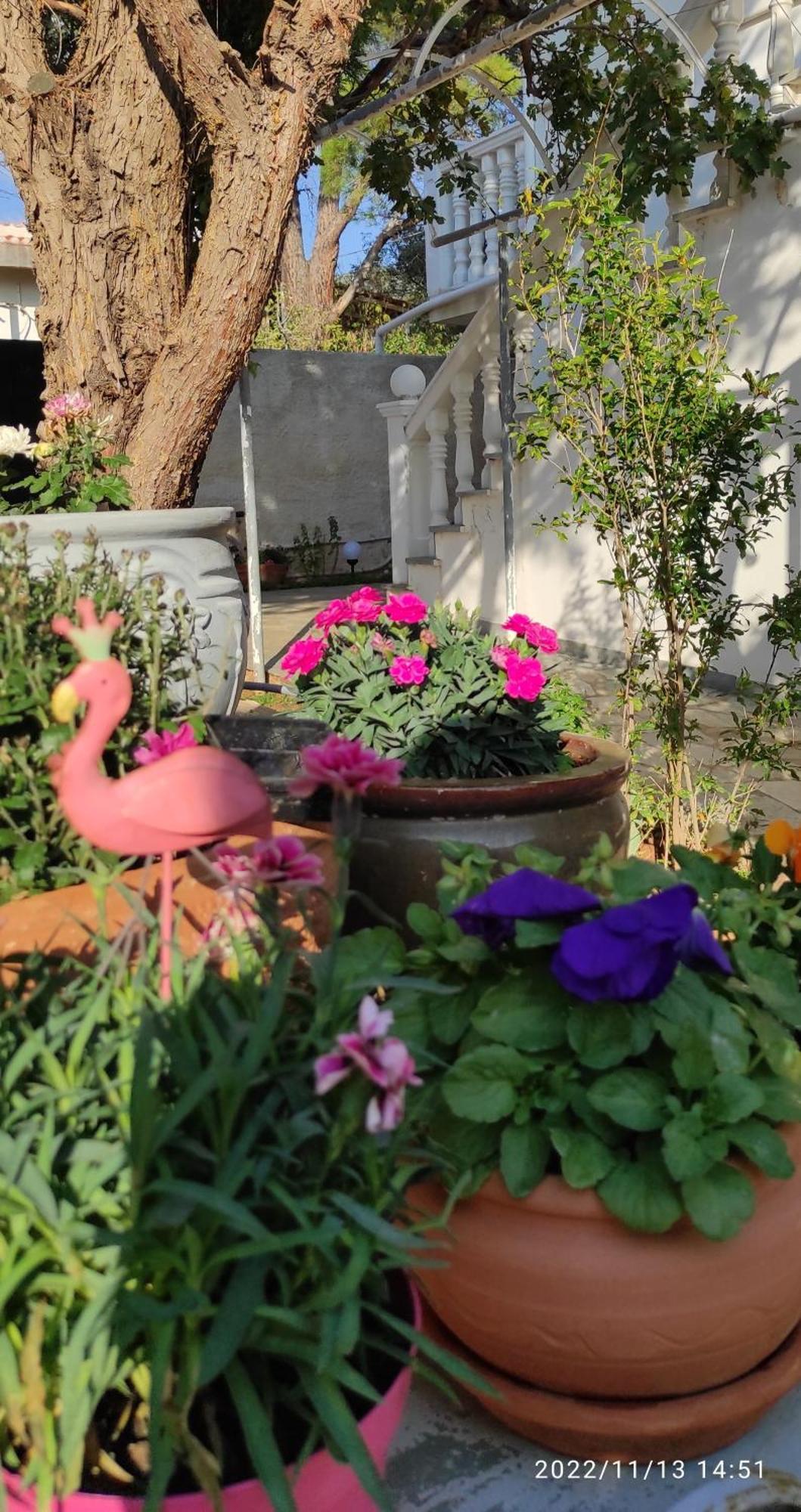 Secret Garden Home Lagonissi Attiki Melissourgoú المظهر الخارجي الصورة