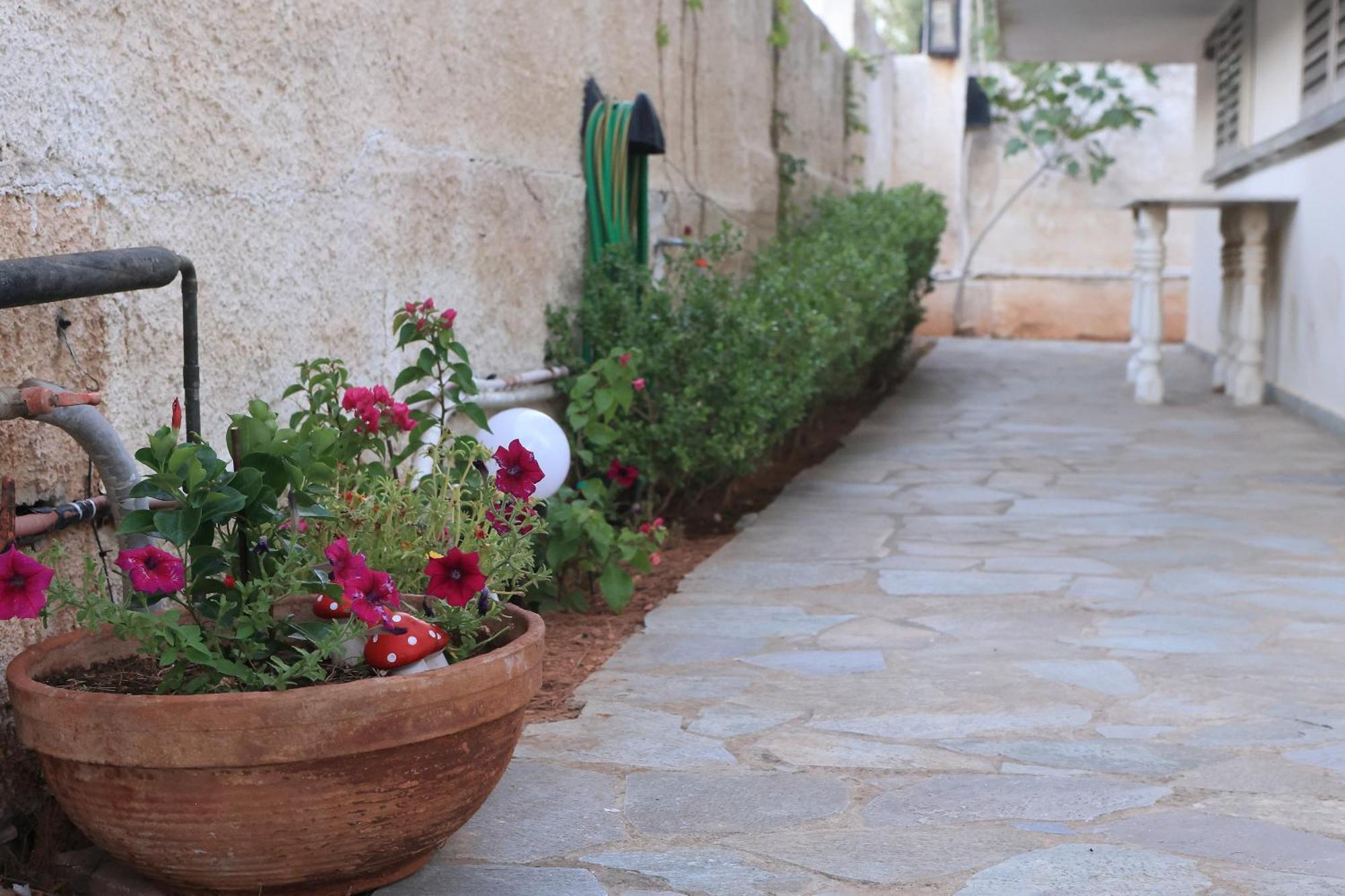 Secret Garden Home Lagonissi Attiki Melissourgoú المظهر الخارجي الصورة