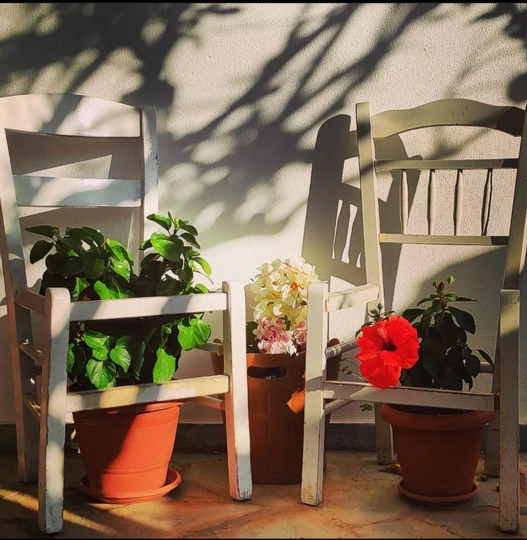 Secret Garden Home Lagonissi Attiki Melissourgoú المظهر الخارجي الصورة